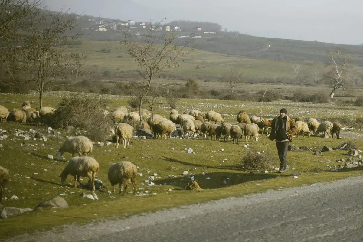 Rural Life on the Moor: A Year in the Life of a Hill Farmer